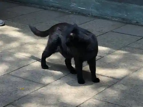 王子神社(徳島県)
