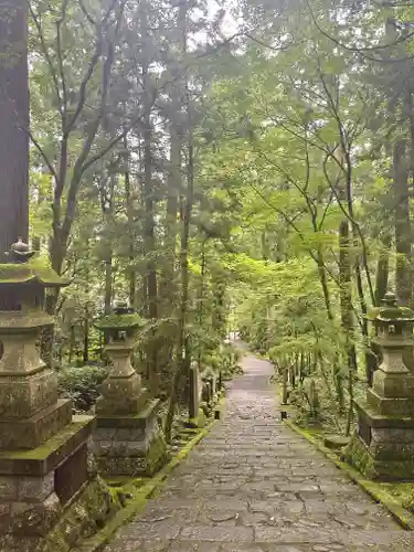 最乗寺（道了尊）(神奈川県)
