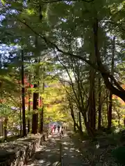 普門寺(切り絵御朱印発祥の寺)(愛知県)