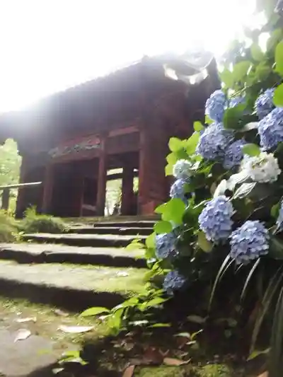 妙本寺の山門・神門