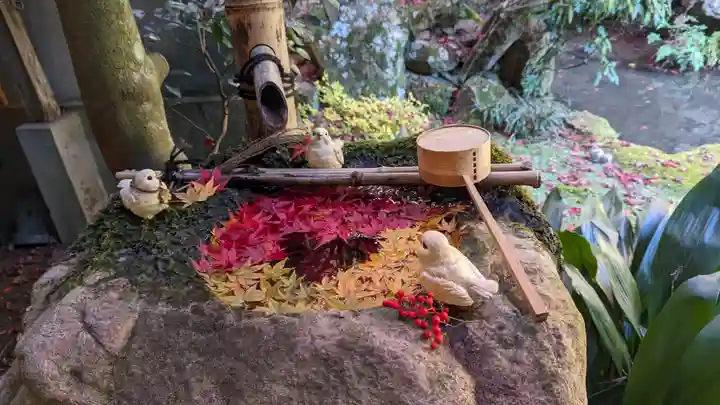 柳谷観音 楊谷寺(京都府)