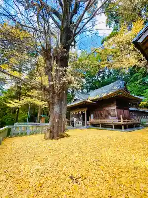事任八幡宮(静岡県)