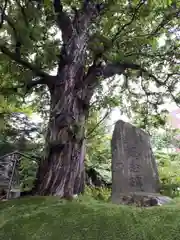 手稲神社の建物その他