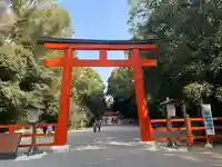賀茂御祖神社(下鴨神社)の鳥居