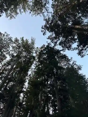 高野山金剛峯寺奥の院(和歌山県)