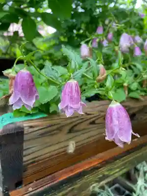 青龍山 吉祥寺(群馬県)
