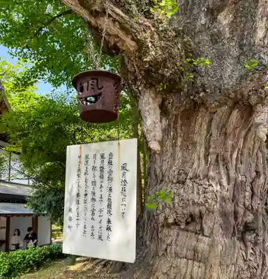 吉備津神社(岡山県)