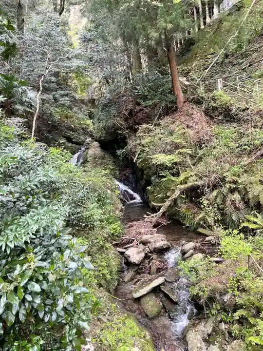 仙龍寺(愛媛県)