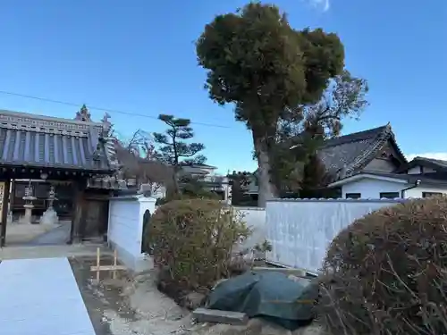 常福寺(大阪府)