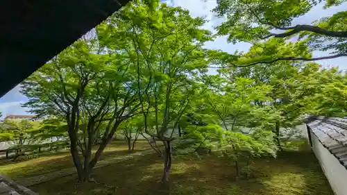 妙覺寺（妙覚寺）(京都府)