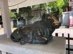 亀戸天神社の狛犬