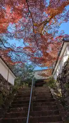 神藏寺(京都府)