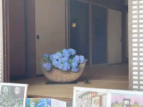 明月院(神奈川県)