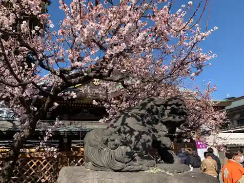 湯島天満宮の狛犬