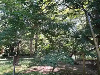 伊佐須美神社(福島県)