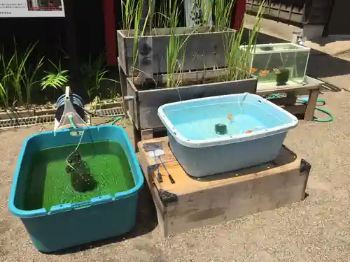 下総国三山　二宮神社のその他建物