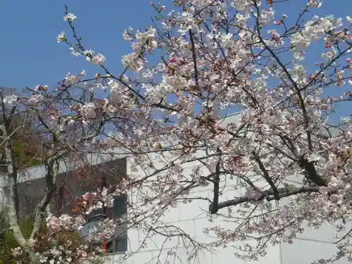 鶴岡八幡宮の自然