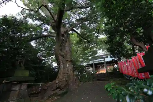 愛宕神社の景色