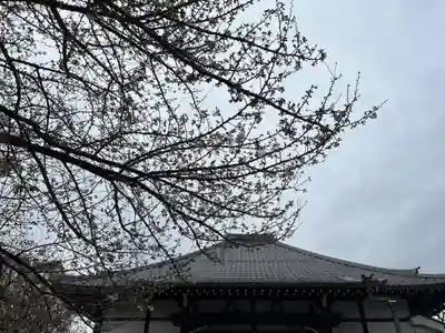 感通寺のその他建物