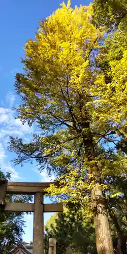 琴浦神社(兵庫県)