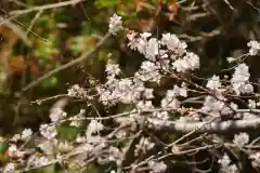 鹿島大神宮の自然