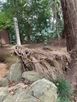 氷川女體神社(埼玉県)