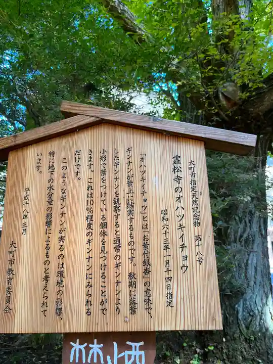 霊松寺(長野県)