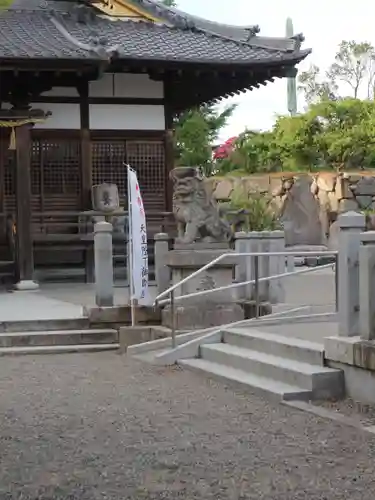 鎭國守國神社の狛犬