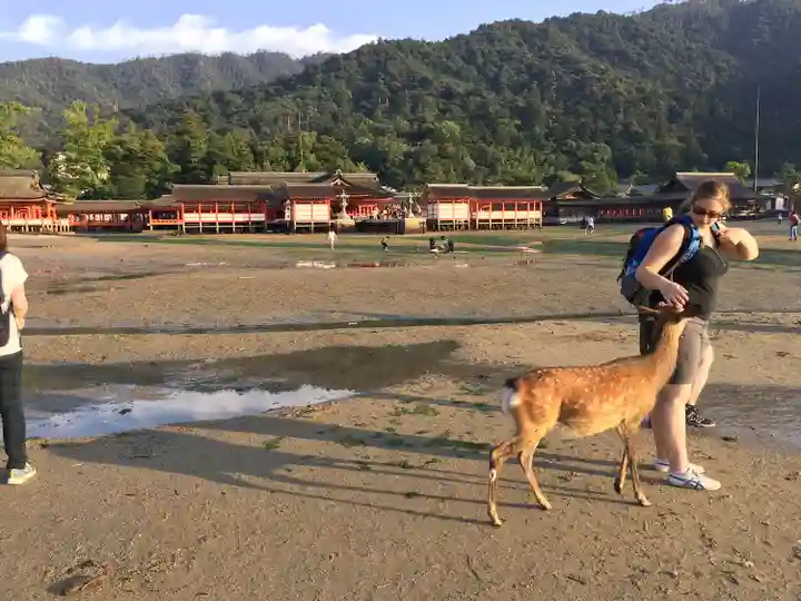 厳島神社(広島県)