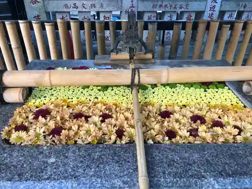 高円寺氷川神社の手水