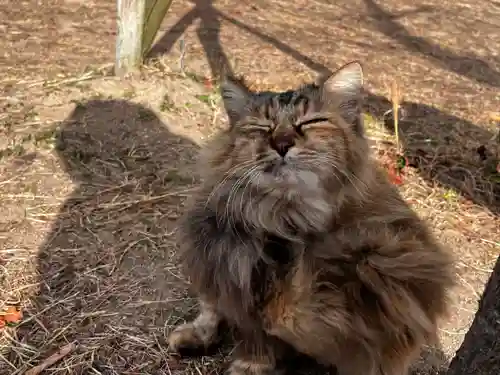 千光寺(広島県)
