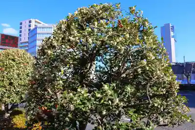 愛宕神社の周辺