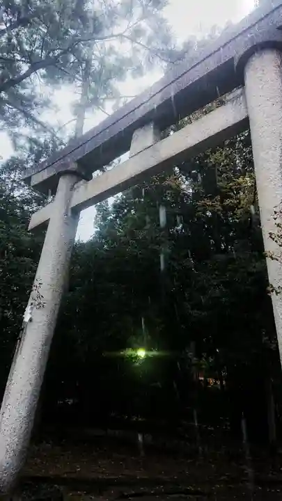 尾張大國霊神社(国府宮)の鳥居