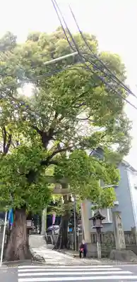 中目黒八幡神社の鳥居