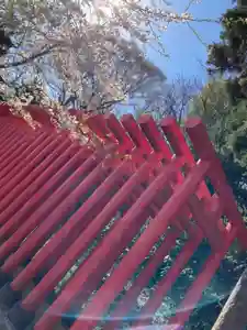 白狐山光星寺(山形県)(2022年04月24日(日) 18時10分03秒投稿)