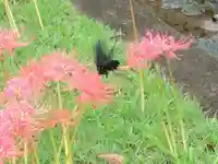 横浜 西方寺(神奈川県)