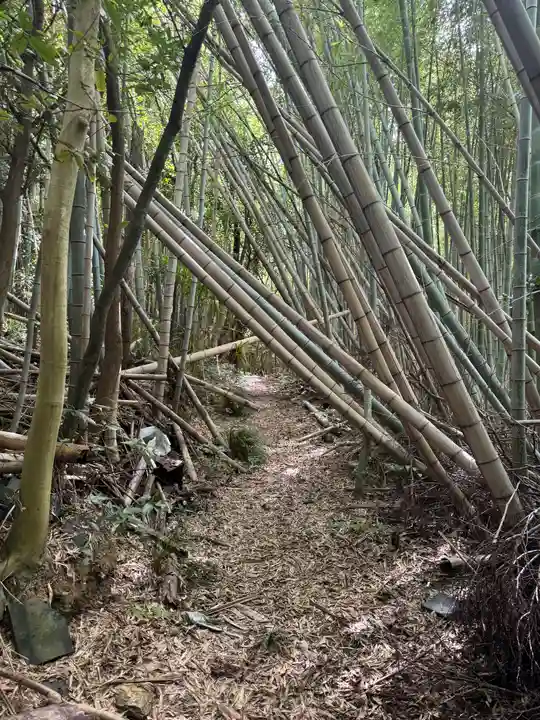 静火神社(和歌山県)