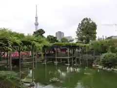 亀戸天神社の庭園