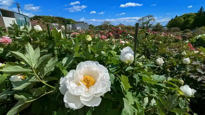 金蛇水神社の自然