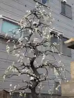 慶運寺(神奈川県)