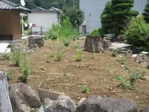 多宝寺(埼玉県)