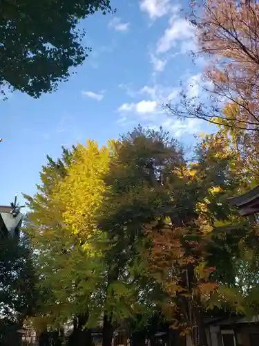 諏訪神社の御朱印