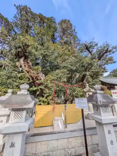 神田神社(滋賀県)