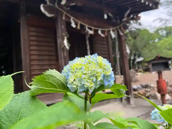 手力雄神社(岐阜県)