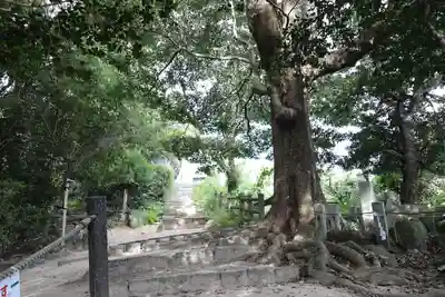 天拝神社（菅原神社）(福岡県)