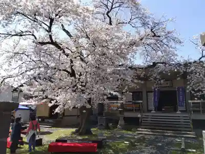 妙経寺(福井県)