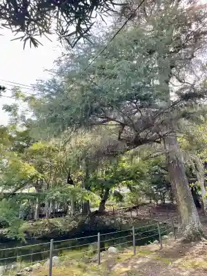 館山神社(千葉県)