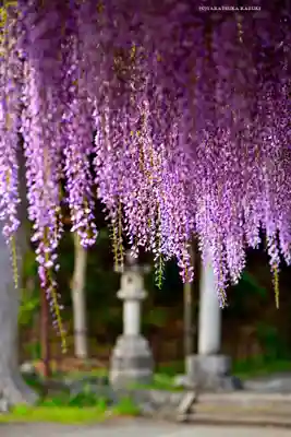日吉神社(東京都)