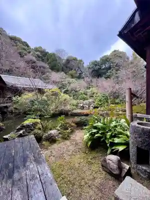 実相院門跡の{uncategorized: "未分類", other: "その他", undefined: "問題あり", building: "その他建物", grave: "お墓", sacred_gate: "鳥居", guardian: "狛犬", statue: "像", buddha: "仏像", history: "歴史", nature: "自然", garden: "庭園", animal: "動物", pagoda: "塔", temizu: "手水舎", mountain_gate: "山門・神門", sanctuary: "本殿・本堂", subordinate: "末社・摂社", art: "芸術", scenery: "景色", jizo: "地蔵", ema: "絵馬", goshuin: "御朱印", omikuji: "おみくじ", items: "授与品その他", amulet: "お守り", goshuincho: "御朱印帳", eats: "食事", festival: "お祭り", votive_dance: "神楽", shichigosan: "七五三参", wedding: "結婚式", experience: "体験その他", initially: "初詣", around: "周辺", anti_infection: "感染症対策"}