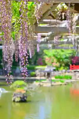 越ヶ谷久伊豆神社(埼玉県)